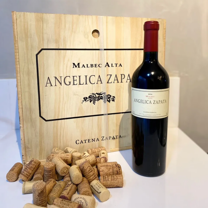 ANGELICA ZAPATA Malbec Alta