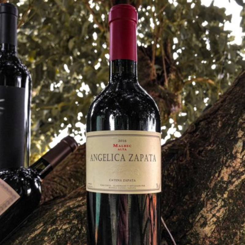 ANGELICA ZAPATA Malbec Alta